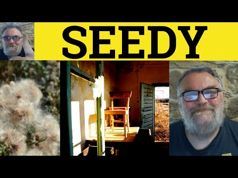 🔵 Seedy Meaning - Define Seedy - Seedy Examples - Seedy in a Sentence - Seedy Definition