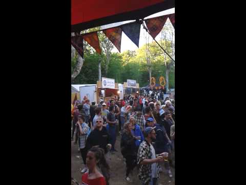 Alex Arnout @ Gottwood Festival RTN stage