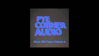 Pye Corner Audio - Dystopian Vector Part One