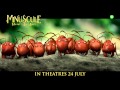 Minuscule Valley Of The Lost Ants 30s TV Spot