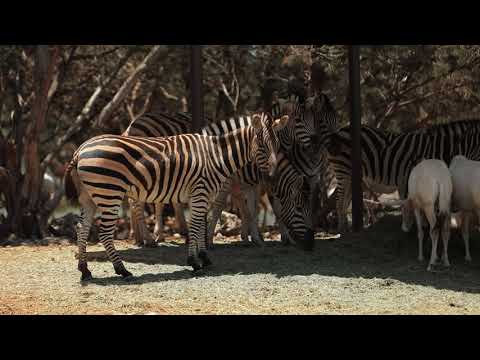 Wildlife Ranch Rhp Testimonial