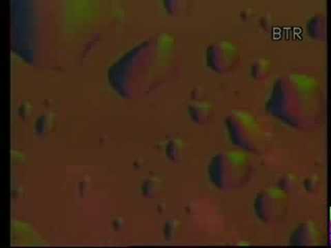 premier vo zivo so koljo