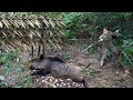 200 Days Of Survival In The Wild Wild Boar Trapping Skills Survival Alone