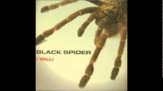 Black Spider - I will (Trance Generators remix)
