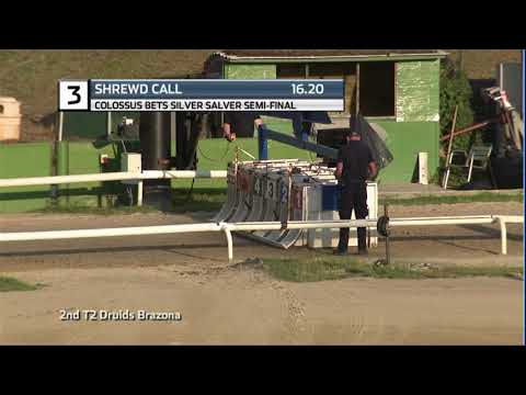 COLOSSUS SILVER SALVER - 1ST SEMI - T3 SHREWD CALL