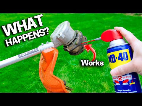 4 String Trimmer Hacks You’ll Wish You Knew Sooner - Clean Edges