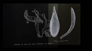 Download the video "I Mostra de Curadorias de Exposições - Em que medida uma imagem pode ser também uma pegada?"