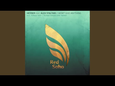 Won't Give Anything (Original Mix)