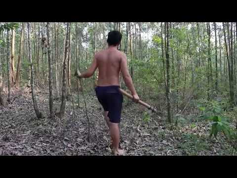 20  Days  Survival  And  Build In The Rain Forest   Full Video
