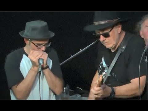 Go for me - Foolhouse Bluesband LIve in Frankfurt ArtBar 2022