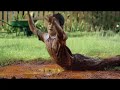 Rinso Falling
