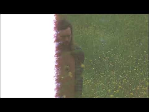 Shrimpnose - The World Pushed Against You (full album) [Official Audio]