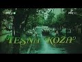 Tesna Koza 1 1982 Ceo Domaci Film Na Srpskom