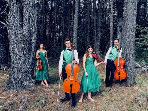 The String Family Documentary