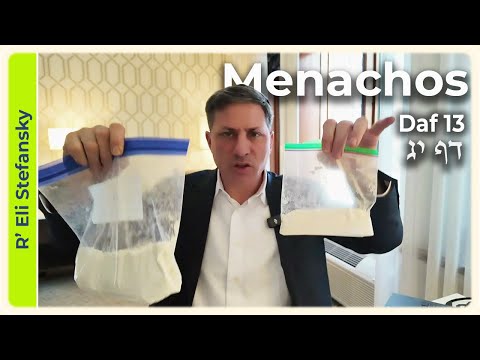 Daf Yomi Menachos Daf 13 by R' Eli Stefansky