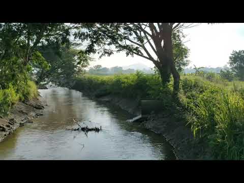 DI DESA KASIH KU TERTUMPAH - DJ DAVE