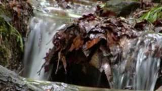 Evelyn Is Not Real slide show