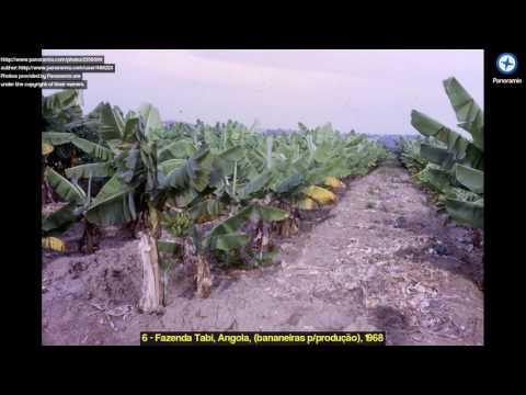 Discover Coutada, Angola