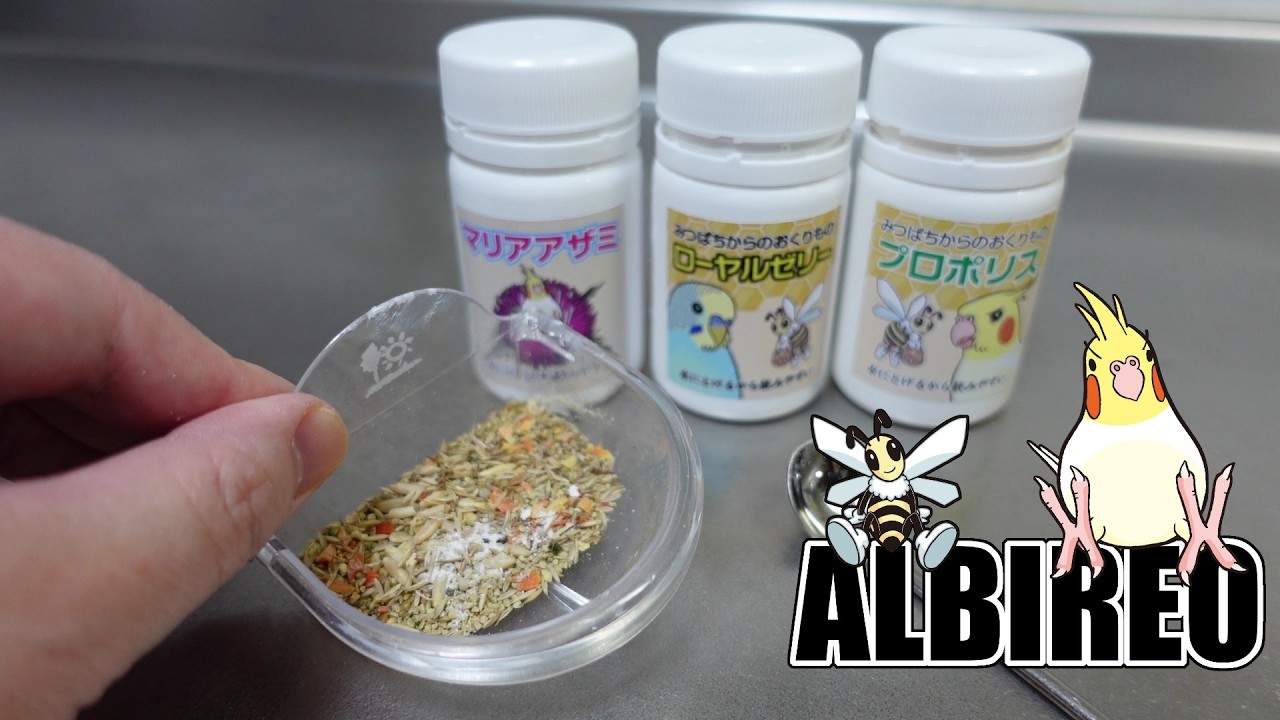 アルビレオみつばちの日セール2026のお知らせ！