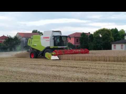 Claas Lexion 630 vs Cressoni sojaflex 660