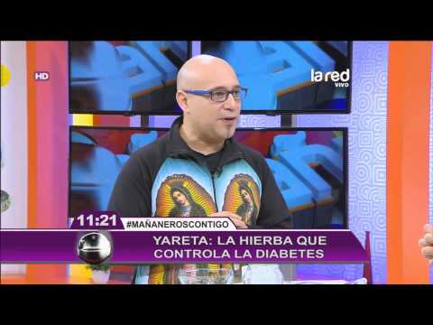La Yareta: la hierba que controla la diabetes