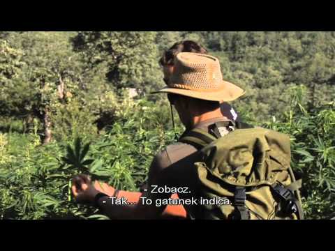 Strain Hunters Morocco Polish Subtitles