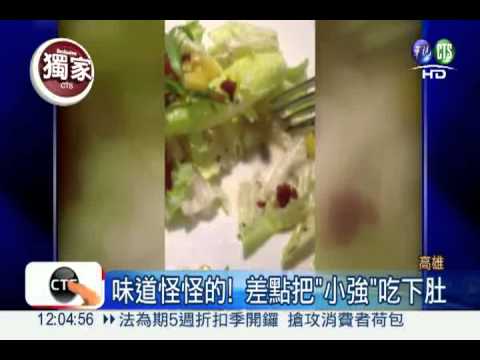 加料前菜! "小強"沙拉噁心反胃