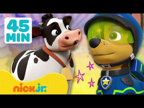 Capa de Patrulha Canina | Resgates de Animais da Fazenda com a Patrulha Canina! | 45 Minutos | Nick Jr.
