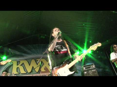 THE STEPPAS - LOST AT SEA