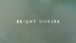 Nick Cave and The Bad Seeds - Bright Horses (Lyric Video)