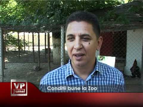 Condiții bune la Zoo