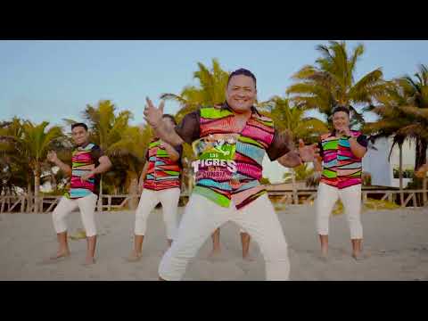 Parranda Borracha - Los Tigres de la Cumbia