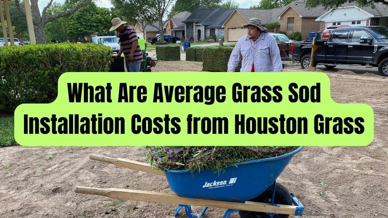 How much does 4 pallets of sod cost? Archive REF