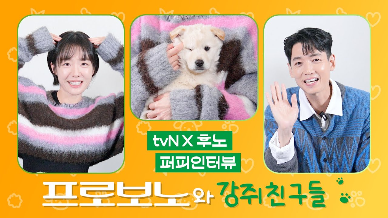[🐶퍼피 인터뷰] 💥정신 없음 주의❗ 꼬질 강쥐들과 프로보노즈가 만났어요💕#프로보노
