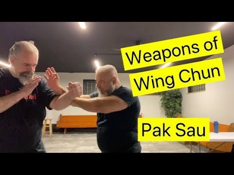 Wing Chun Pak Sau: The Proactive Defense for Modern Fighting