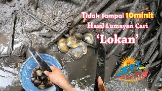 Download lagu Cara Mudah Cari Lokan Bakau Cuba teknik ini pasti Cepat) mp3 Download lagu Cara Mudah Cari Lokan Bakau Cuba teknik ini pasti Cepat) mp3