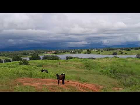 Tarde de 24/04/26 sítio timbauba baixio ce 🌵🏞️