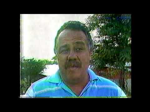 Entrenadores Opinan Sobre Mister Frisky en el Kentucky Derby 1990