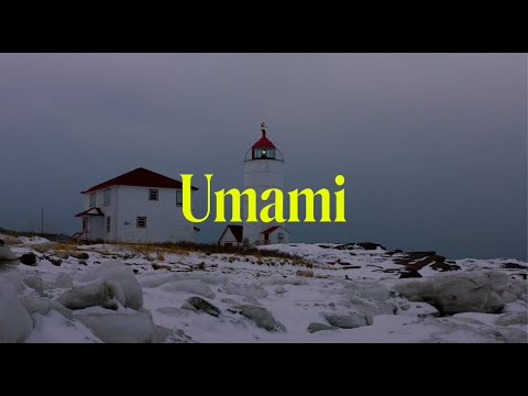 UMAMI