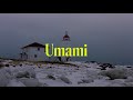 UMAMI
