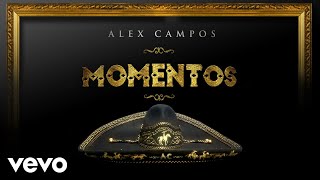 Alex Campos - Al Taller del Maestro (Cover Audio)