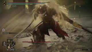 [エルデンリング DLC]ラスボス戦(？)少し