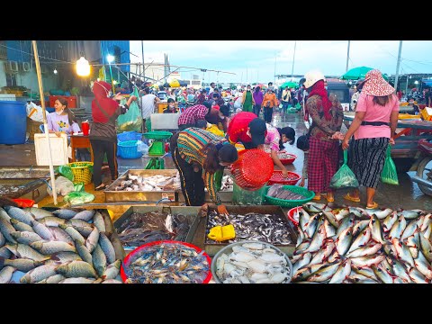 Very Early Morning Fishes And Seafood Market Show - One Of big Site Of Ditribution @ Prek Phnov