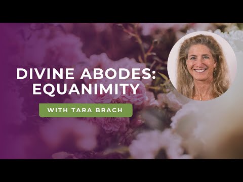Divine Abodes: Cultivating Equanimity for Inner Balance and Wisdom with Tara Brach