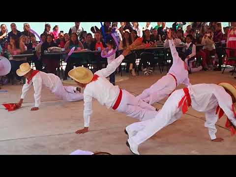 download lagu mp3 mp4 Danza De La Iguana, download lagu Danza De La Iguana gratis, unduh video klip Danza De La Iguana