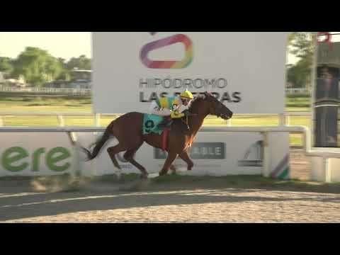 211119 c08 - COLORS PLAY - HIPODROMO LAS PIEDRAS