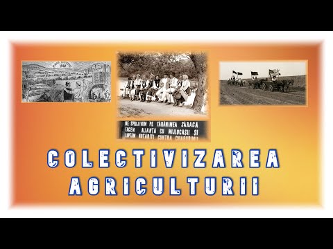 Colectivizarea forţată a Agriculturii - Procesul de colectivizare, dezastrul României.