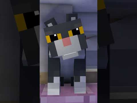 Visiting a girl  Angry Cat - Minecraft Animation