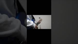 【#盗作】【#ヨルシカ】【#shorts】【#永久機関】  #盗作 #ヨルシカ  プロフよりYouTube fullへ飛べます！ #初音ミク #anime  #hatsunemiku