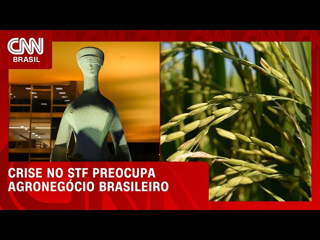 Crise no STF preocupa agronegócio brasileiro; veja no Conexão Agro | CNN PRIME TIME